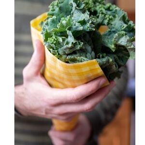 WaxWrap Beeswax Cotton Food Wraps